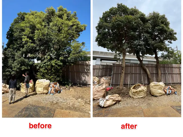 ☆明るいお庭へ大変身！笑顔にさせてみせます^^　難所・高所作業は得意分野です☆サービスの画像