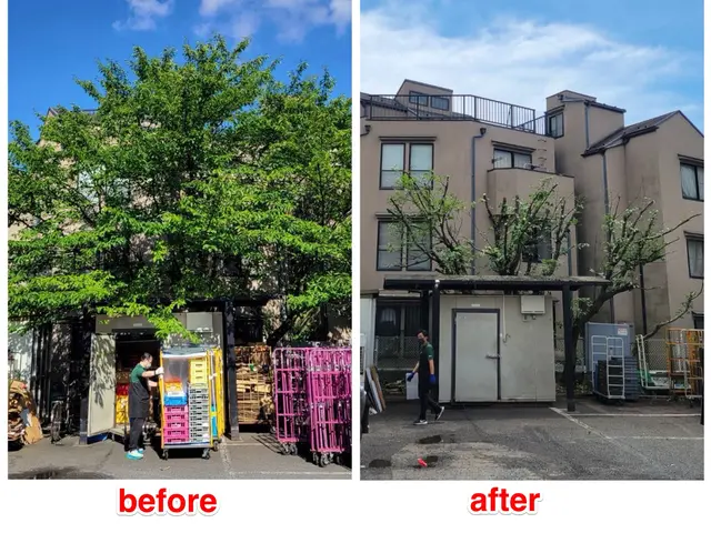 ☆明るいお庭へ大変身！笑顔にさせてみせます^^　難所・高所作業は得意分野です☆サービスの画像