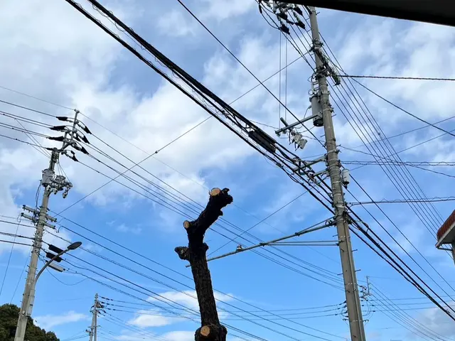 《徳島県》回収まで全てお任せください。全自社対応☆サービスの画像