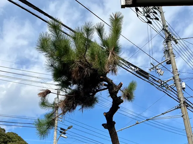 《徳島県》回収まで全てお任せください。全自社対応☆サービスの画像