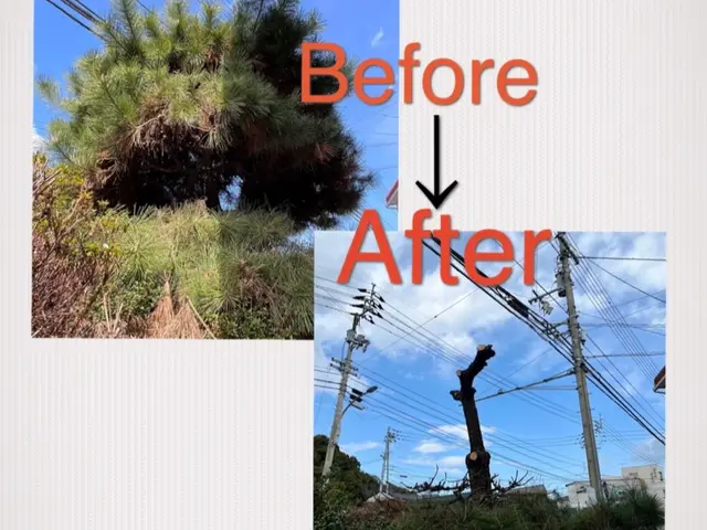 《徳島県》回収まで全てお任せください。全自社対応☆サービスの画像