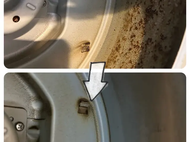 ★しつこい油汚れお任せ★お子様・ペット・環境に優しい天然植物洗剤を使用！サービスの画像