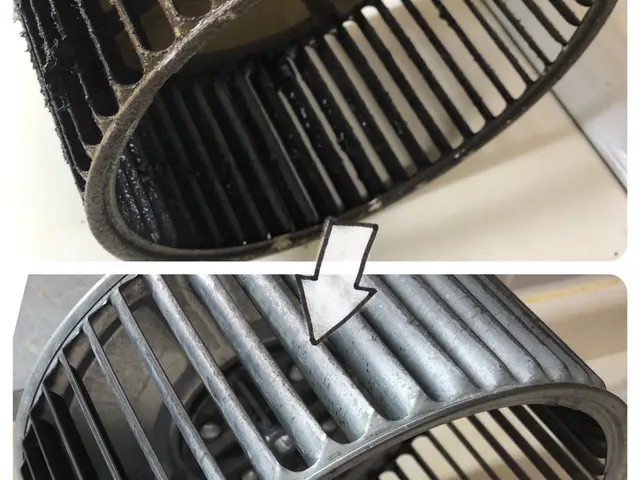 ★しつこい油汚れお任せ★お子様・ペット・環境に優しい天然植物洗剤を使用！サービスの画像