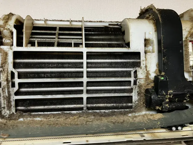 電気工事士による汚れ徹底除去！時間をかけて納得の仕上がりまで対応**サービスの画像