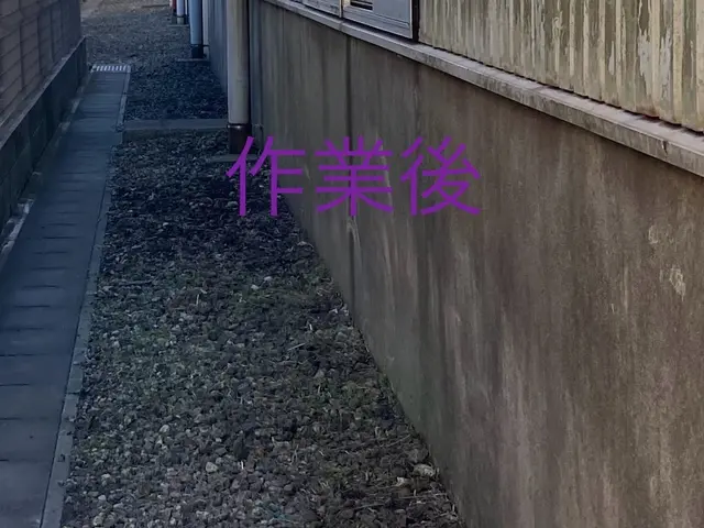 新緑の時期、完全手作業の草むしりで敷地をきれいにします。サービスの画像