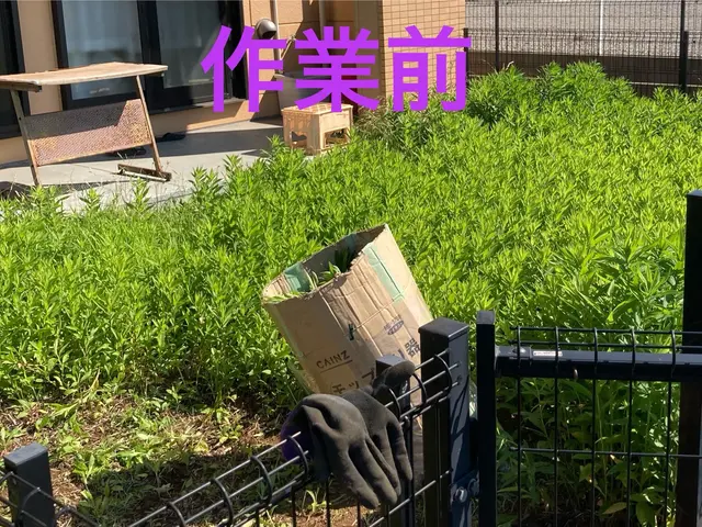 新緑の時期、完全手作業の草むしりで敷地をきれいにします。サービスの画像