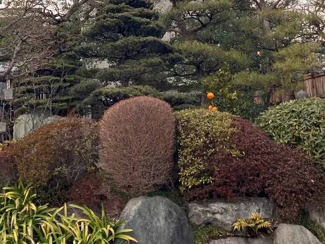 15年の経験と一級資格でお庭の健康と美しさ守る匠の技サービスの画像