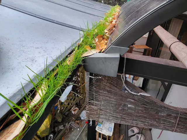 【雨樋掃除・修理】詰まり・あふれ・外れ等に対応！便利屋お助けマスター岡山東区店♬サービスの画像