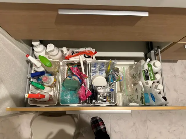 お引っ越し１日目からいつもの暮らしを！荷造り・荷解きを整理収納のプロがサポートサービスの画像