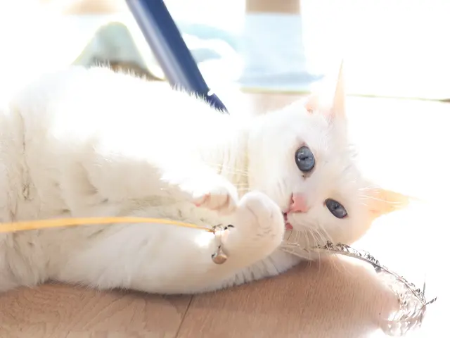 プロの技術でご満足いただけるように心を込めて撮影いたします