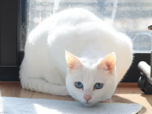 プロの技術でご満足いただけるように心を込めて撮影いたします