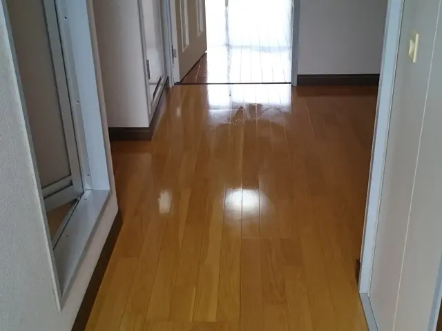 ☆損保加入サービスの画像