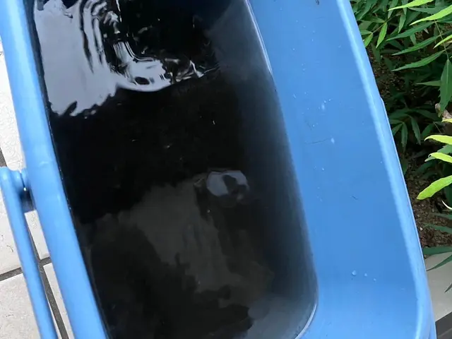 当日16時以降の受付ＯＫですサービスの画像