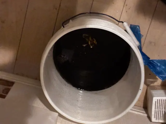 当日16時以降の受付ＯＫですサービスの画像