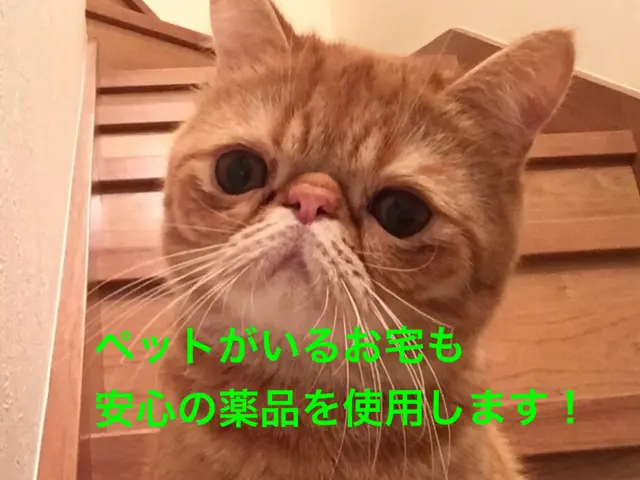 【期間限定】現金払いの方は2台目以降 台数×500円引き！ 店長が直接伺います！サービスの画像