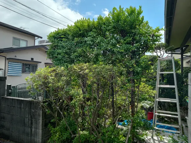 ★お安くお庭をキレイにしませんか★こだわりなくとにかく安く仕上げたい方必見★サービスの画像