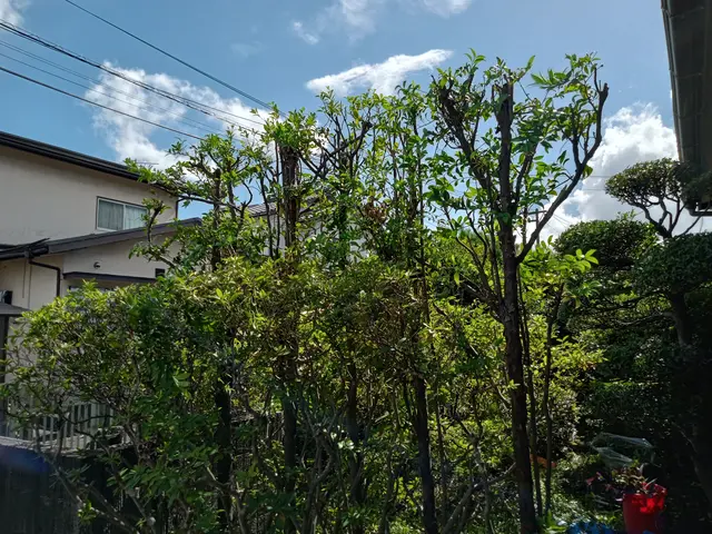 ★お安くお庭をキレイにしませんか★こだわりなくとにかく安く仕上げたい方必見★サービスの画像