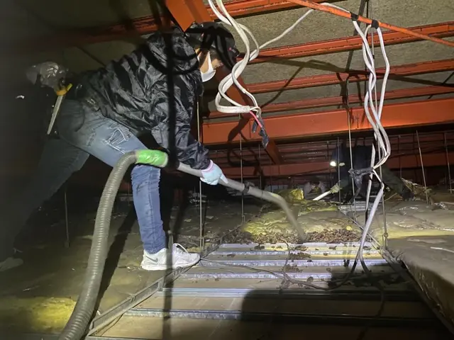 【害獣駆除歴11年目】【11年目の実績と自信で作業させていただきます】最短対応サービスの画像