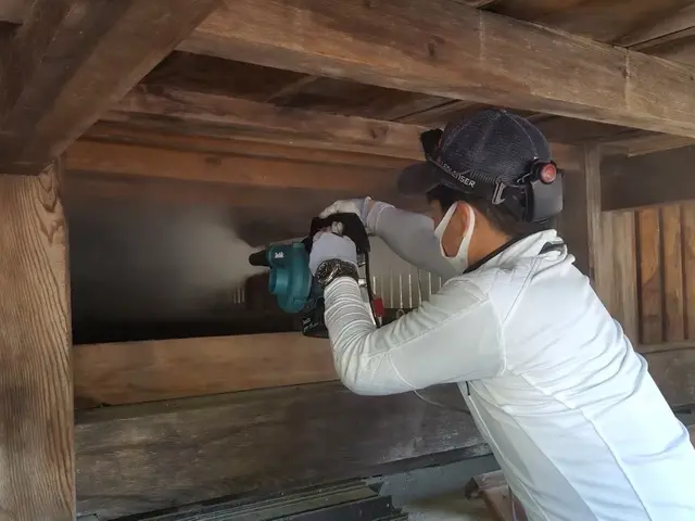 【害獣駆除歴11年目】【11年目の実績と自信で作業させていただきます】最短対応サービスの画像