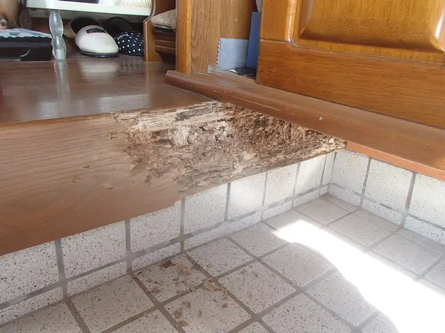 【熊本市発】創業63年目を迎えました！対応地域外のご予約もご相談可能！サービスの画像