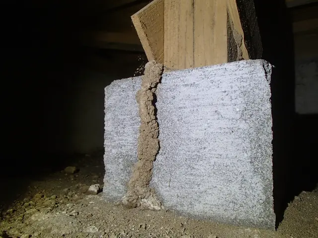 【熊本市発】創業63年目を迎えました！対応地域外のご予約もご相談可能！サービスの画像