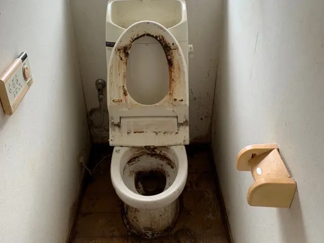 茨木市から伺います！作業外注なし、すべて自社で対応！損害保険加入済みサービスの画像