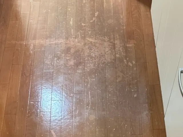 家政夫のアニキが全力は全力掃除のため時間はかかります！早くなく安くありません！サービスの画像