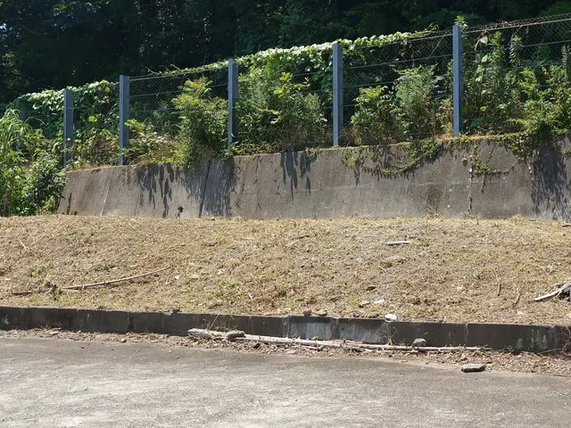 どんな広い庭や土地の草刈り最新の道具や機械を使ってこなせます！サービスの画像