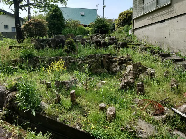 どんな広い庭や土地の草刈り最新の道具や機械を使ってこなせます！サービスの画像