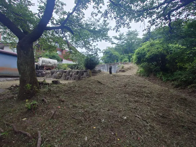 どんな広い庭や土地の草刈り最新の道具や機械を使ってこなせます！サービスの画像