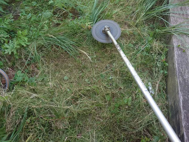 どんな広い庭や土地の草刈り最新の道具や機械を使ってこなせます！サービスの画像