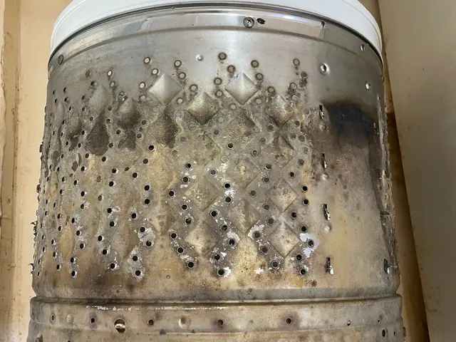 ■熊本県■  創業17年☆洗濯機分解洗浄！カビ、菌に特化した洗剤使用！サービスの画像