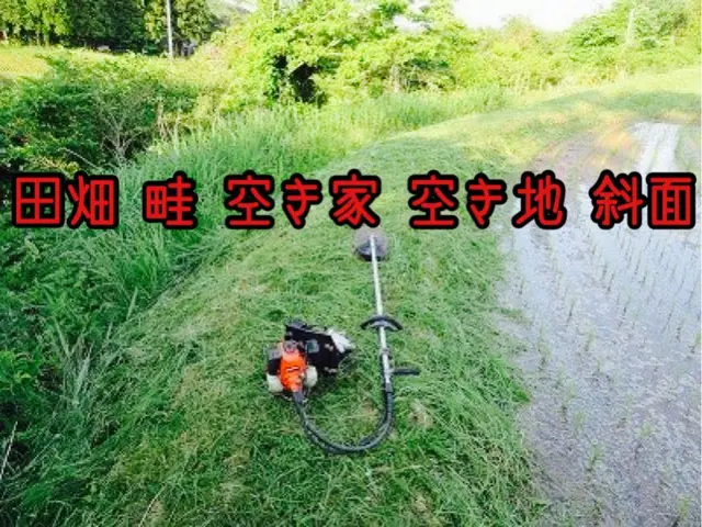 【草刈り全般】 空き地 空き家 田んぼ 畑どこでも可能☆お庭の雑草にお困りの方！サービスの画像