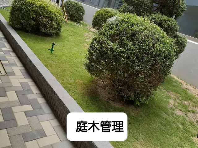 庭木の剪定、草刈り、庭木埋め込み、庭木管理サービスの画像