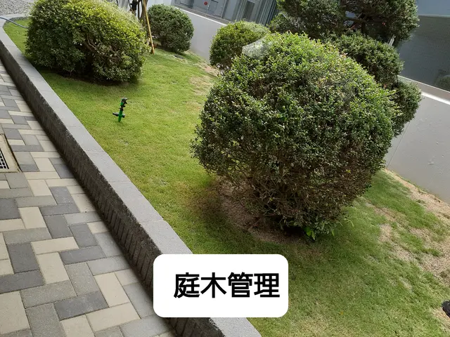 庭木の剪定、草刈り、庭木埋め込み、庭木管理サービスの画像