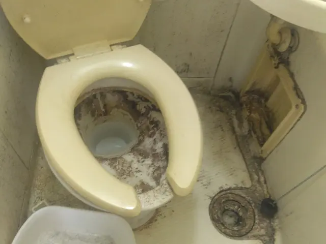 4月 新生活 応援価格★サービスの画像