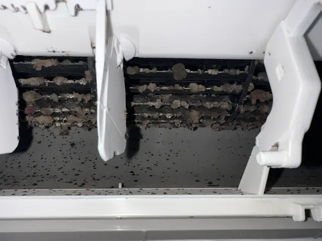 ★ピカピカ革命★店長自ら対応！丁寧・迅速・安心のエアコンクリーニングサービスの画像