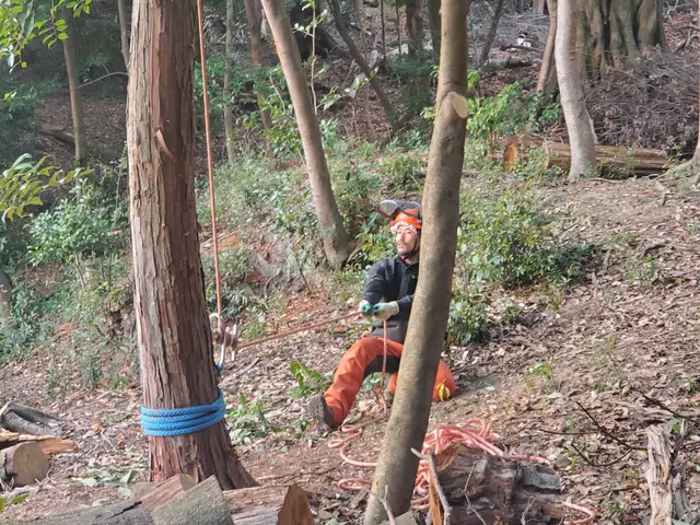 【20m超えの伐採可能】年間800本の伐採実績！損害保険完備サービスの画像