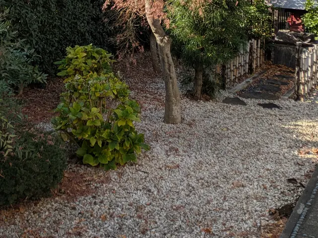 プロの技術でご満足いただけるように心を込めて作業いたしますサービスの画像