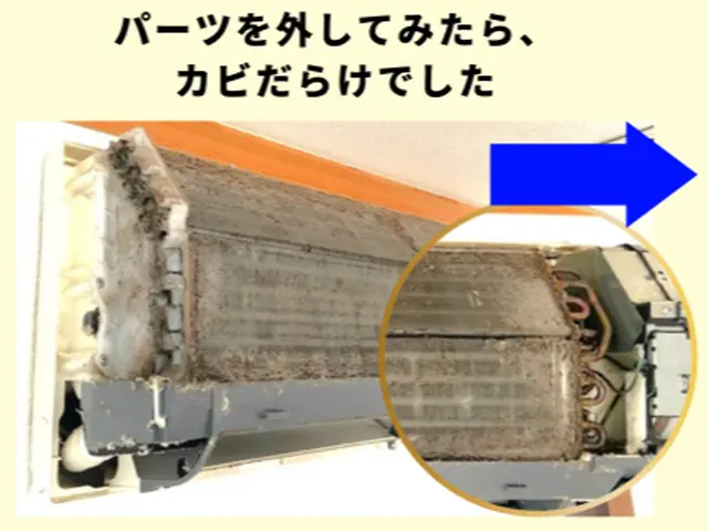 1日2台限定◎女性店長が丁寧な作業でキレイにします◎カビ抑制・消臭剤標準噴霧サービスの画像