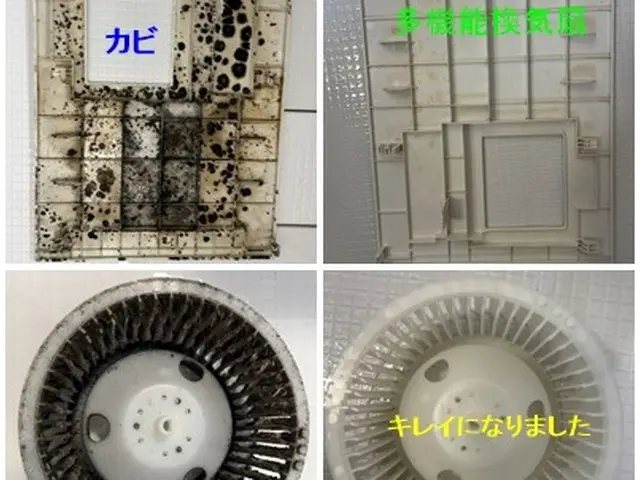 《国家資格》プロのおそうじダスキン経験２３年の実績・鏡コーティング無料。サービスの画像