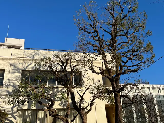 丁寧さと安全性にこだわる、心地よい庭づくりのプロフェッショナルサービスの画像