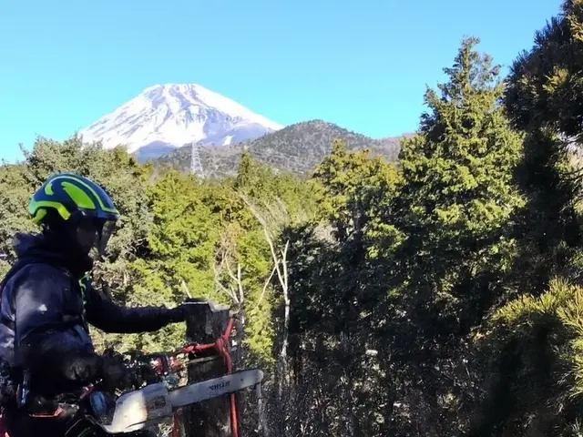 【Arborlog】◎伐採専門店◎倒せない場所でもロープ伐採安全確実対応サービスの画像