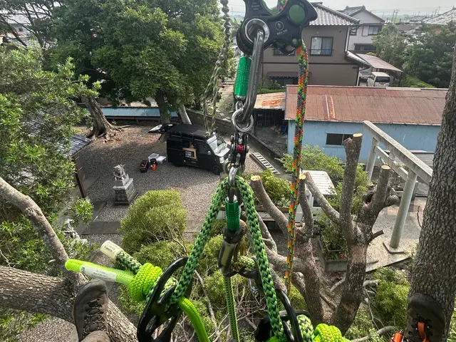 【Arborlog】◎伐採専門店◎倒せない場所でもロープ伐採安全確実対応サービスの画像