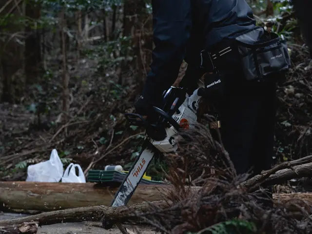 【Arborlog】◎伐採専門店◎年中無休◎1本からでもご相談ください！サービスの画像