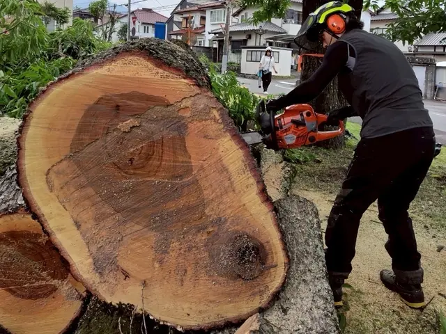 【Arborlog】◎伐採専門店◎倒せない場所でもロープ伐採安全確実対応サービスの画像