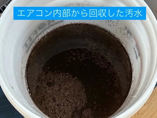 真心込めて綺麗をお届け！◎女性スタッフ同行可◎お掃除機能付き可◎複数台割引あり！サービスの画像