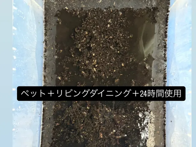 【女性スタッフ同行★高評価店舗】夫婦で訪問／技術と安心／丁寧仕上げ／2台目割引サービスの画像