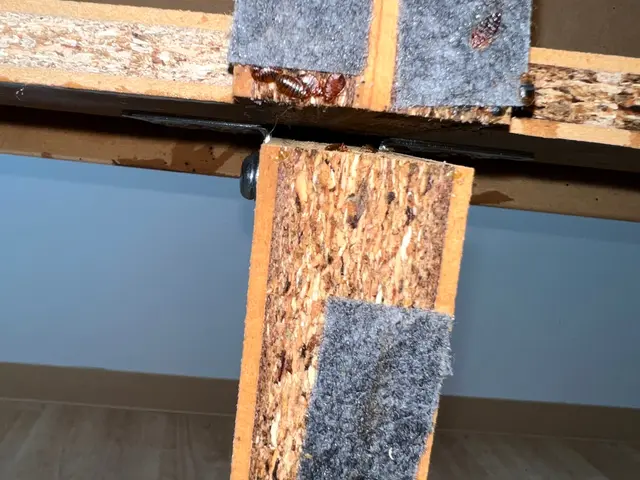 ＜２４時間年中無休でご対応＞駐車代当店負担◎営業時間外・対応地域外もご相談歓迎！サービスの画像