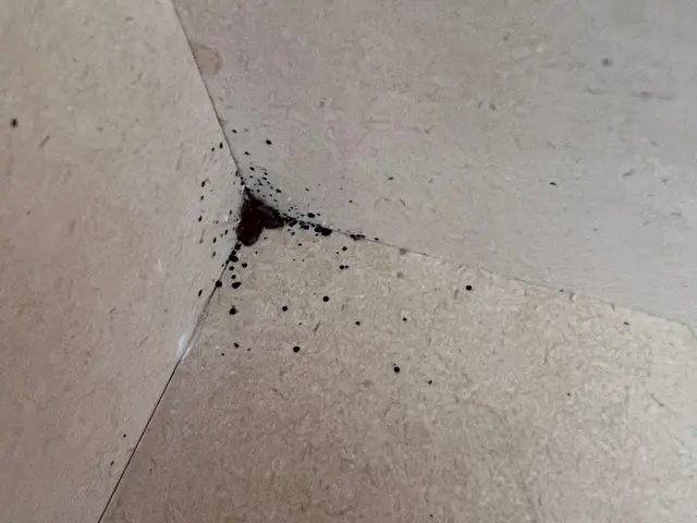 ＜２４時間年中無休でご対応＞駐車代当店負担◎営業時間外・対応地域外もご相談歓迎！サービスの画像